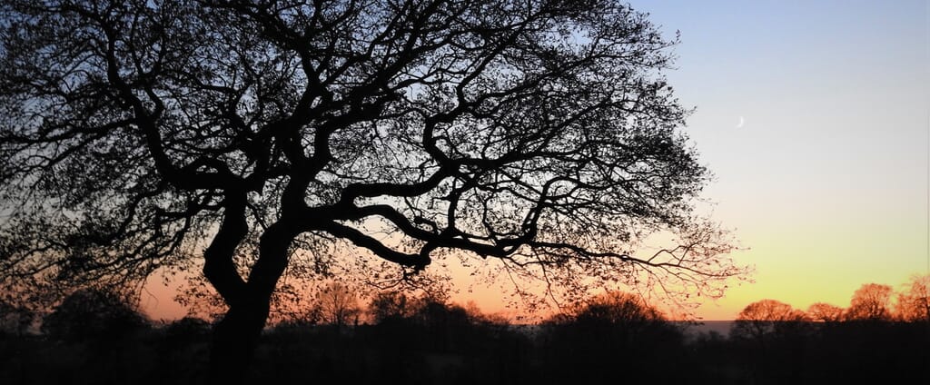 Photograph of Graves Park & local people adapting to climate change project